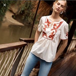 Madewell Embroidered Fable Top